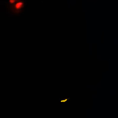 2day prod.(99LA+Gfelds)