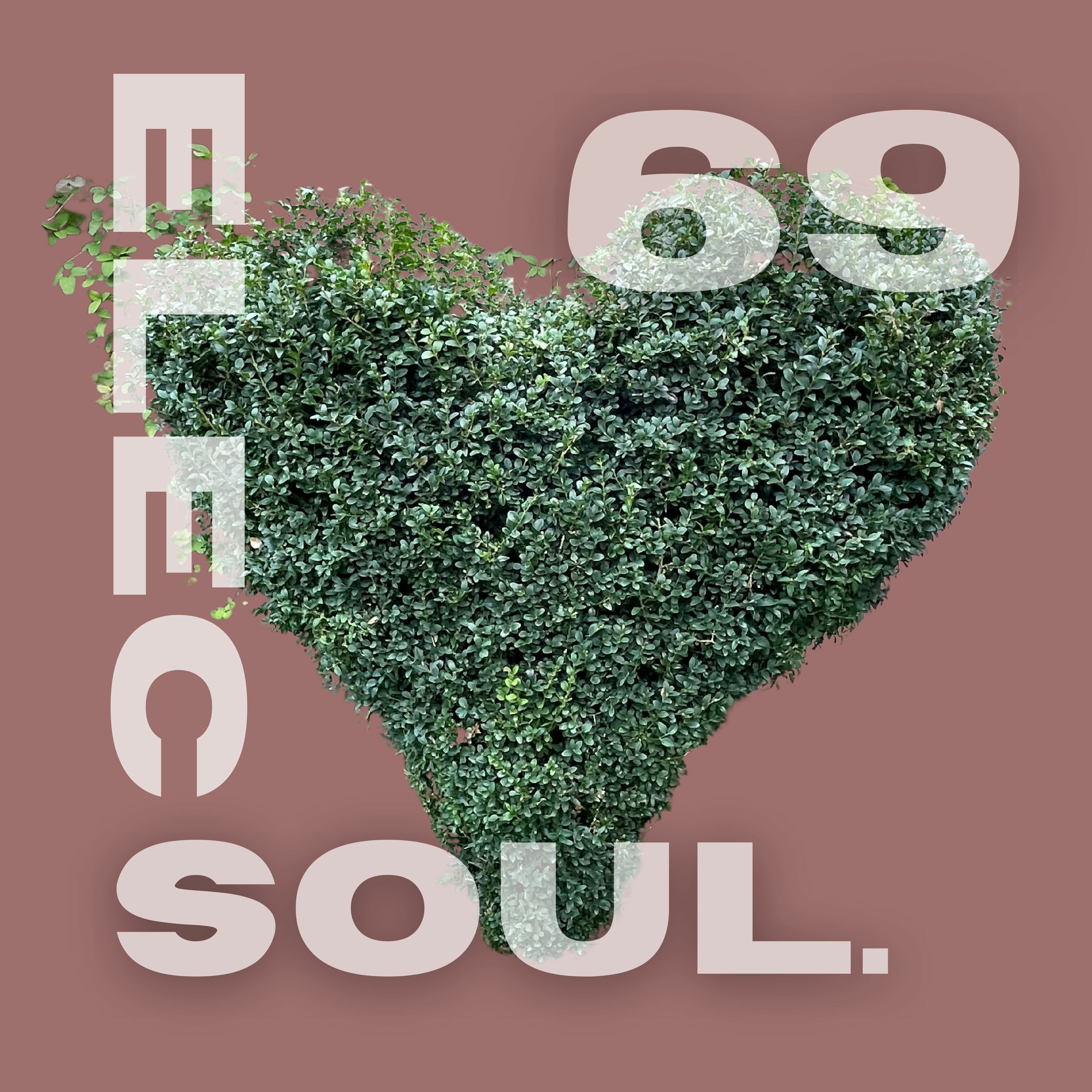 ElecSoul