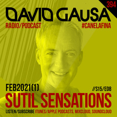 Sutil Sensations Radio Show #394 - The 2nd edition of 2021! With #HotBeats & #CanelaFina