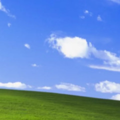 do NOT check under the bridge there totally isnt kids who have been there since 1989 rotting