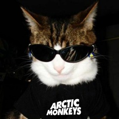arctic monkeys- why'd you only call me when youre high? sped up