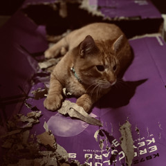 Whiskey 2021 Instrumental Demo.m4a