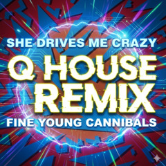 She Drives Me Crazy (Q House Remix)