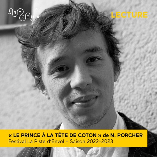 Lecture - « Le Prince à la tête de coton » de Nicolas Porcher