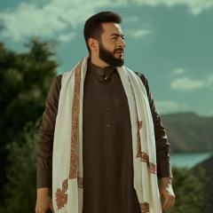 حماده هلال- في قلبي الرؤيه مش واضحه -المداح اسطورة العوده