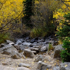 River (Remastered)