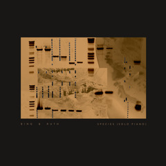 Body in a Room (solo piano)