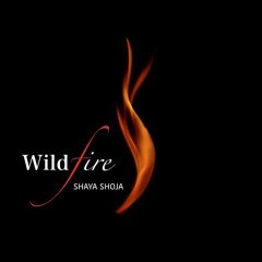 Wildfire