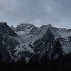 Winter windy forest ice trees moving Kamnik Alps
