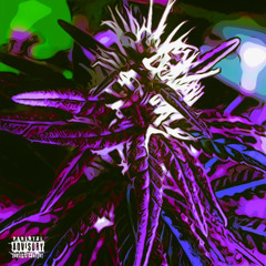 🅿️'$ [P. justxrolo x prodbyrafiki]