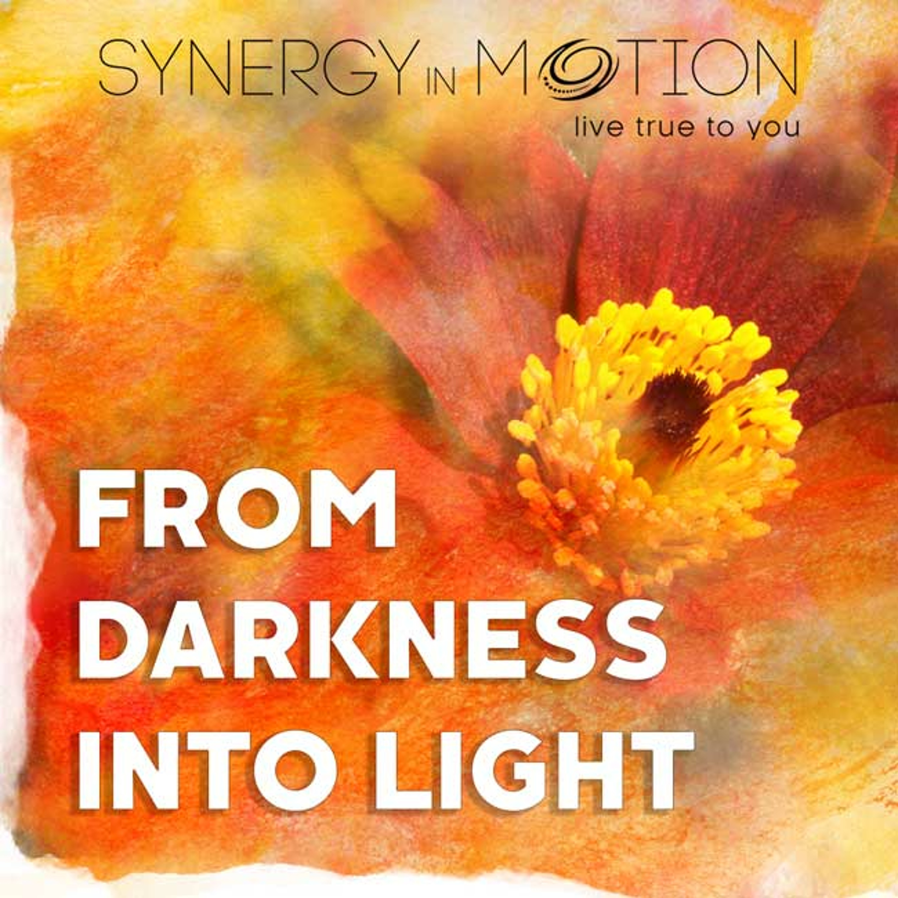 From Darkness Into Light ~ Hexagram  11 & 10 episode artwork