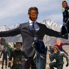 Avengers shi(donotdisturbgov)