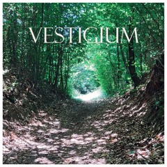 VESTIGIUM