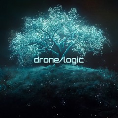 Daniel Avery - Drone Logic (Brave The Storm Remix)