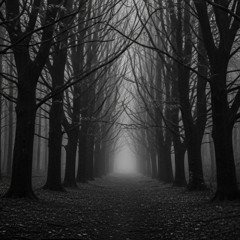 Lost