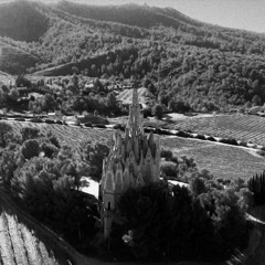 El Suicida Superviviente