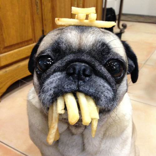 crunching meds