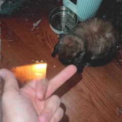 i hate you