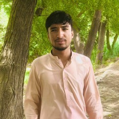 Zama_Sara_Norsa_Nashta_Bas_Tasha_Malangi da