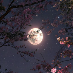 XXX Moonlight Reimagined