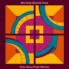 Bombay Bicycle Club - Feel (Soul Push Remix)