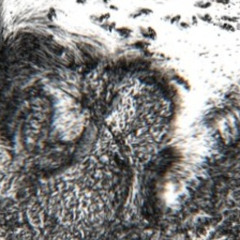 I AM RESPECT (produced by alteg)