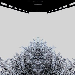 paralyzed (demo)