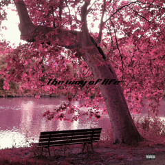 Tn Kb - Way Of Life prod.Kristo