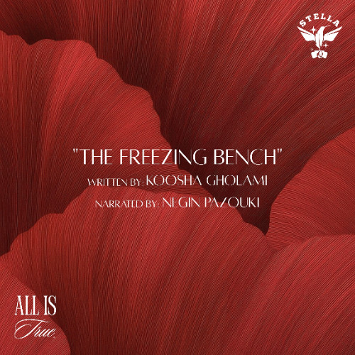 The Freezing Bench (Written by Koosha Gholami)