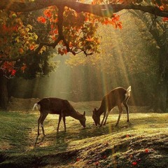 Viking (prod. alan + militant)