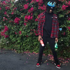 2016-17 Warhol