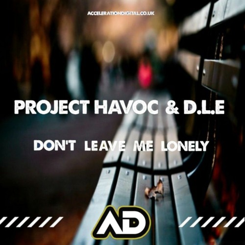 PROJECT HAVOC & D.L.E  -  DONT LEAVE ME LONELY