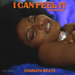 I Can Feel It (Interlude)