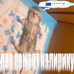 две семсот налирику