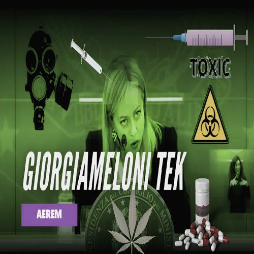 GIORGIAMELONI::TEK - AEREM