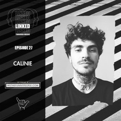 Linked Through Music - Calinie
