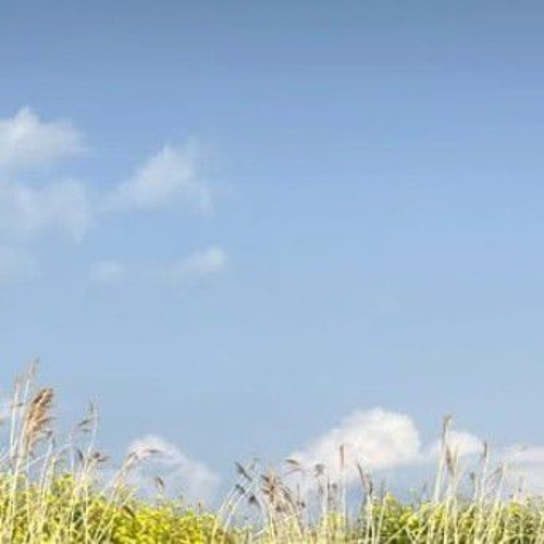 I don't want you Cry