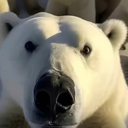 NONSTOP Vinahouse 2023  Cuốn Hơn Ý Muốn Vol 2  Nhạc DJ NST Bay Phòng Căng Cực Hay Nhất