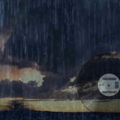 THE STORM WILL PASS