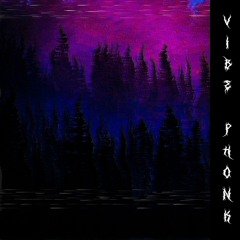 vibe fonk!