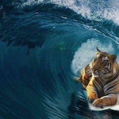 Wave Ridin Tiger Mix