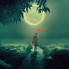 කිනම්  අන්ධකාරේ |  Which Misunderstanding | Sinhala | #MinBlend | Inner Realm