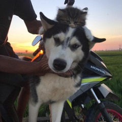 dj_-_mengulit_kenangan_-_(Req,janet&mr,lombenk)coretank51