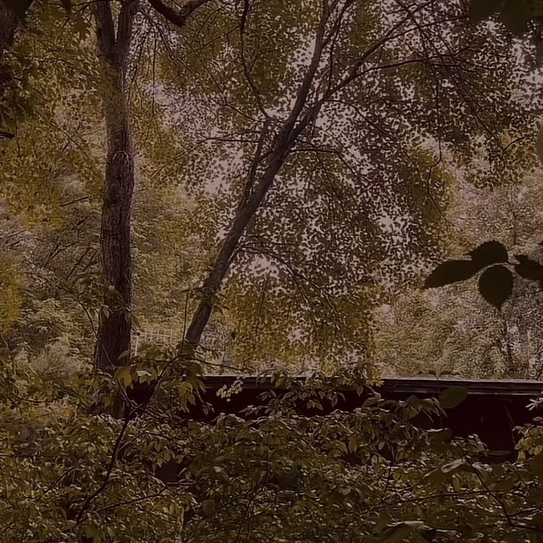 Where The Creek Flows [Deluxe Version]