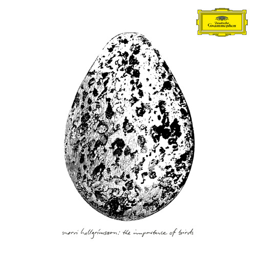 The Wick That Slits the Shadow