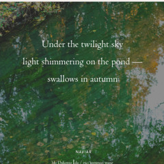 NaviarHaiku595_Under The Twilight Sky