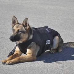 Party Police (avvays Remix)