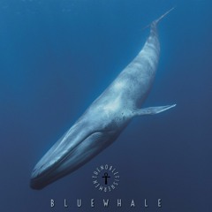 Blue Whale (Prod. By Monty)