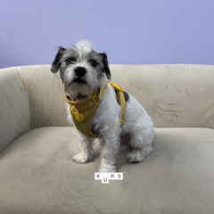 andreraketa @ KURS Radio 30.10.25