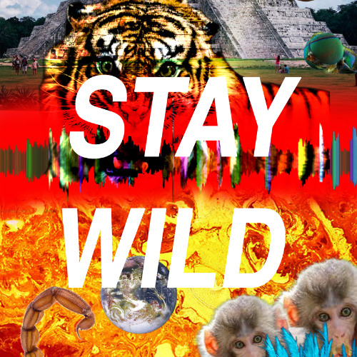 CAN U FEEL IT (I CAN FEEL IT)